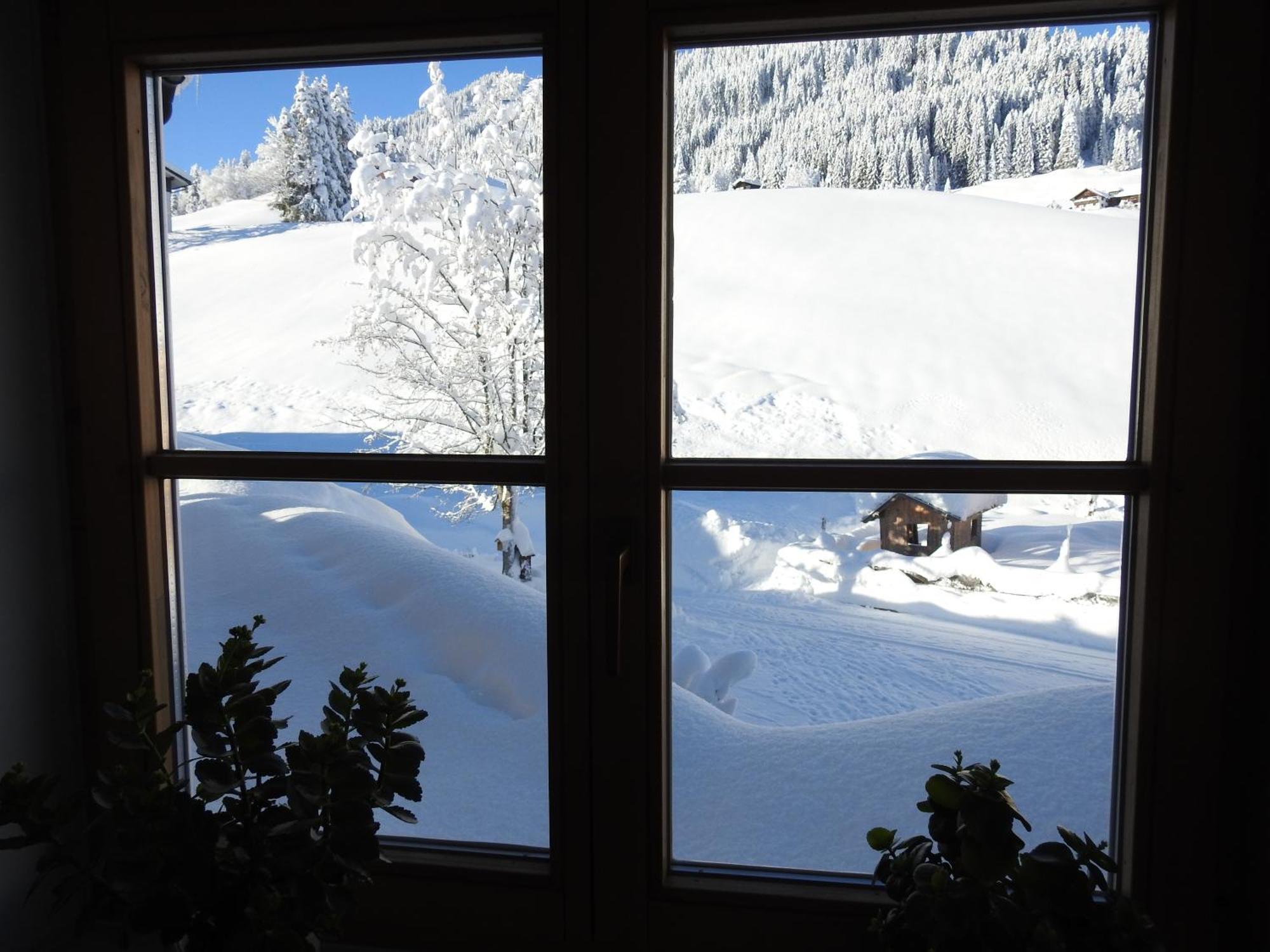 Appartement Haus Berg & Tal à Hirschegg  Extérieur photo