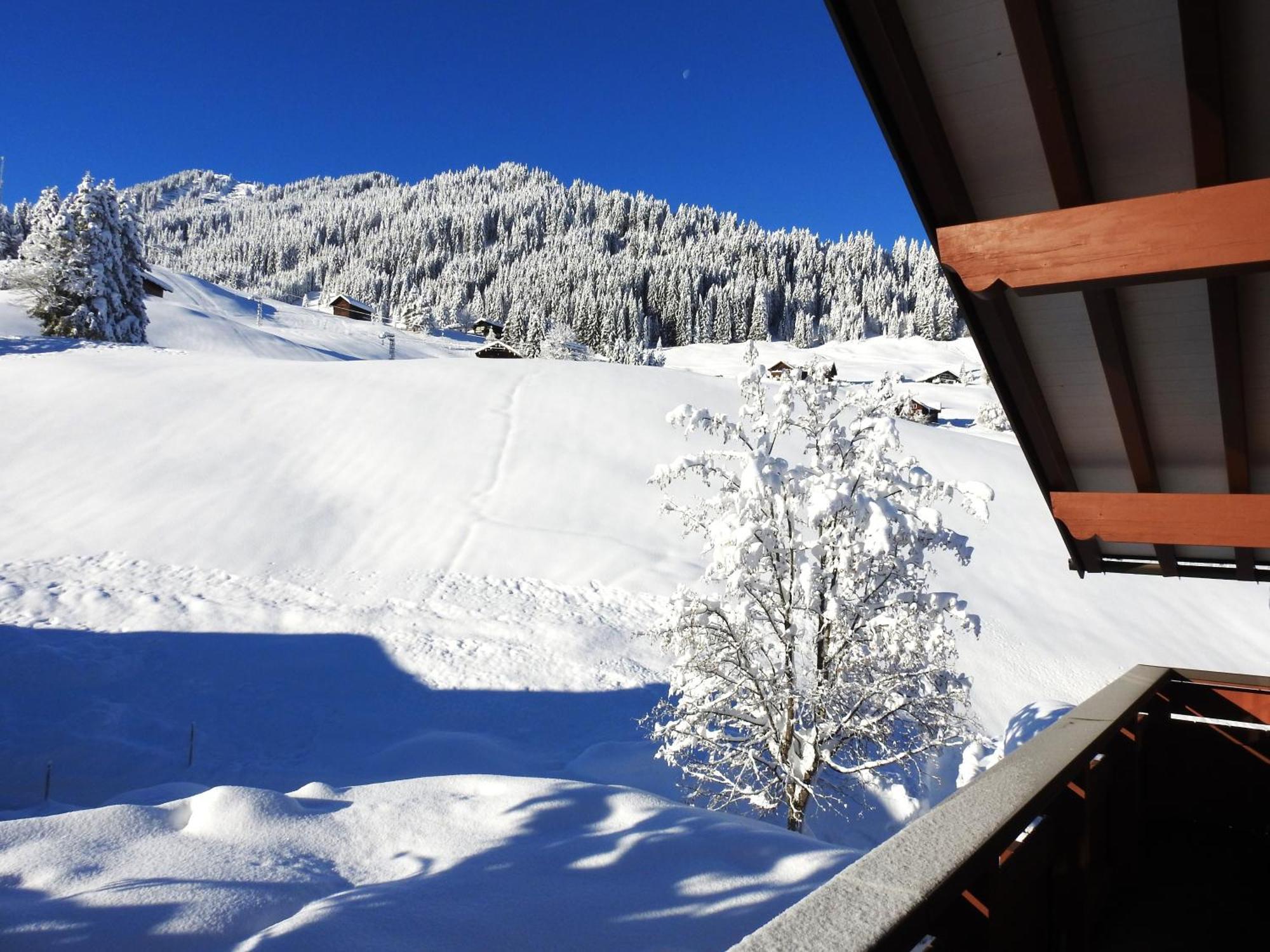 Appartement Haus Berg & Tal à Hirschegg  Extérieur photo